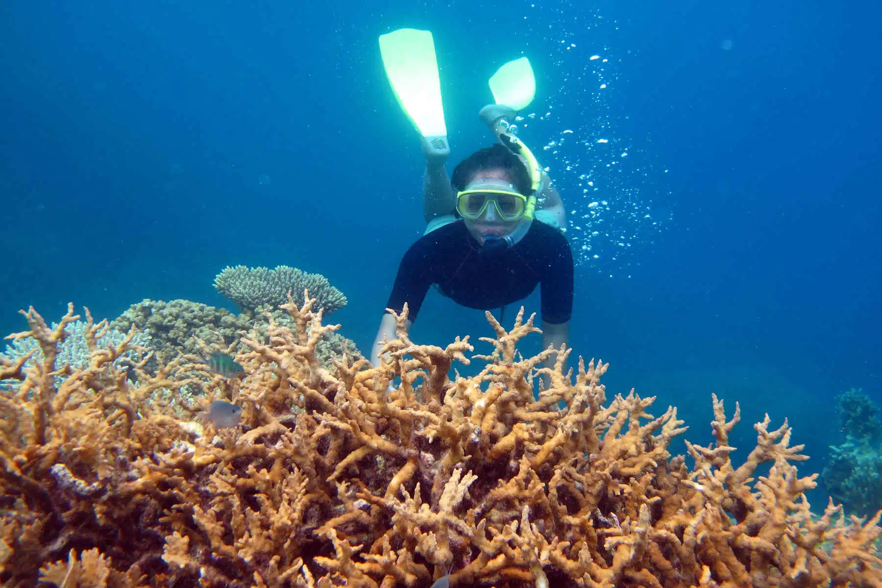 Paket Karimun Jawa 2hari 1malam Via Kapal Express PP Paket Karimun Jawa 2hari 1malam Via Kapal Express PP