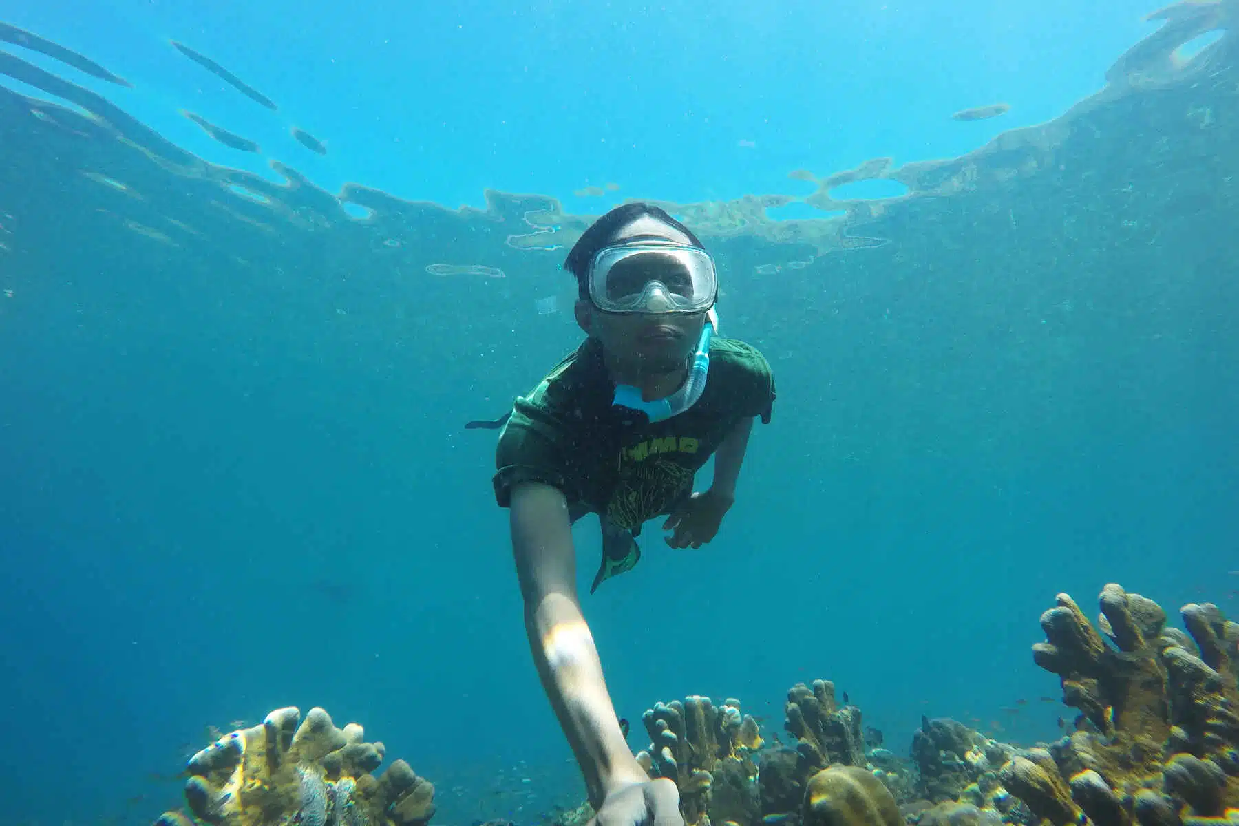 Paket Karimun Jawa 2hari 1malam Via Kapal Siginjay PP Paket Karimun Jawa 2hari 1malam Via Kapal Siginjay PP