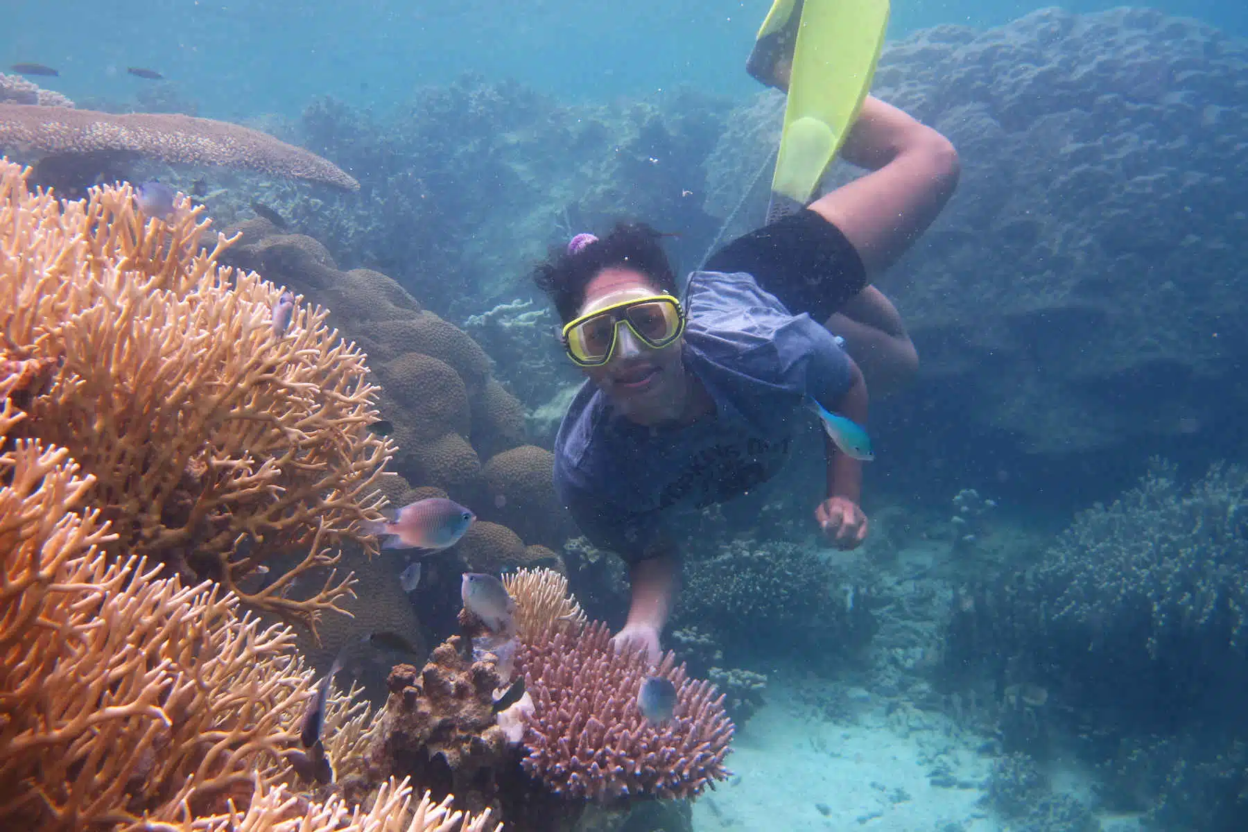 Paket Karimun Jawa 4hari 3malam Via Kapal Siginjay PP Paket Karimun Jawa 4hari 3malam Via Kapal Siginjay PP