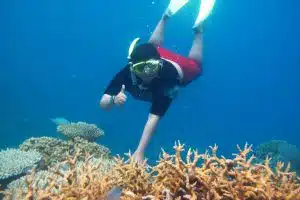 Paket Karimunjawa Murah 3hari 2malam Express Bahari PP