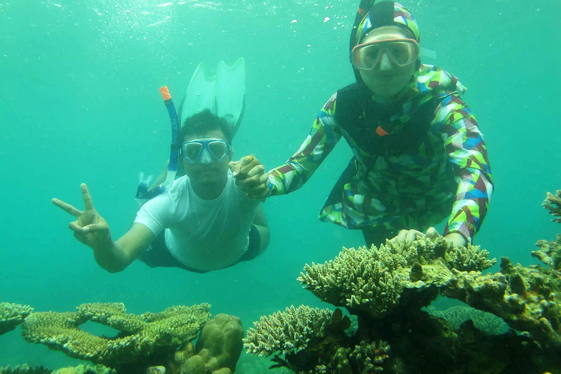Paket Karimunjawa Murah 4hari 3malam express bahari pp Paket Karimunjawa Murah 4hari 3malam express bahari pp