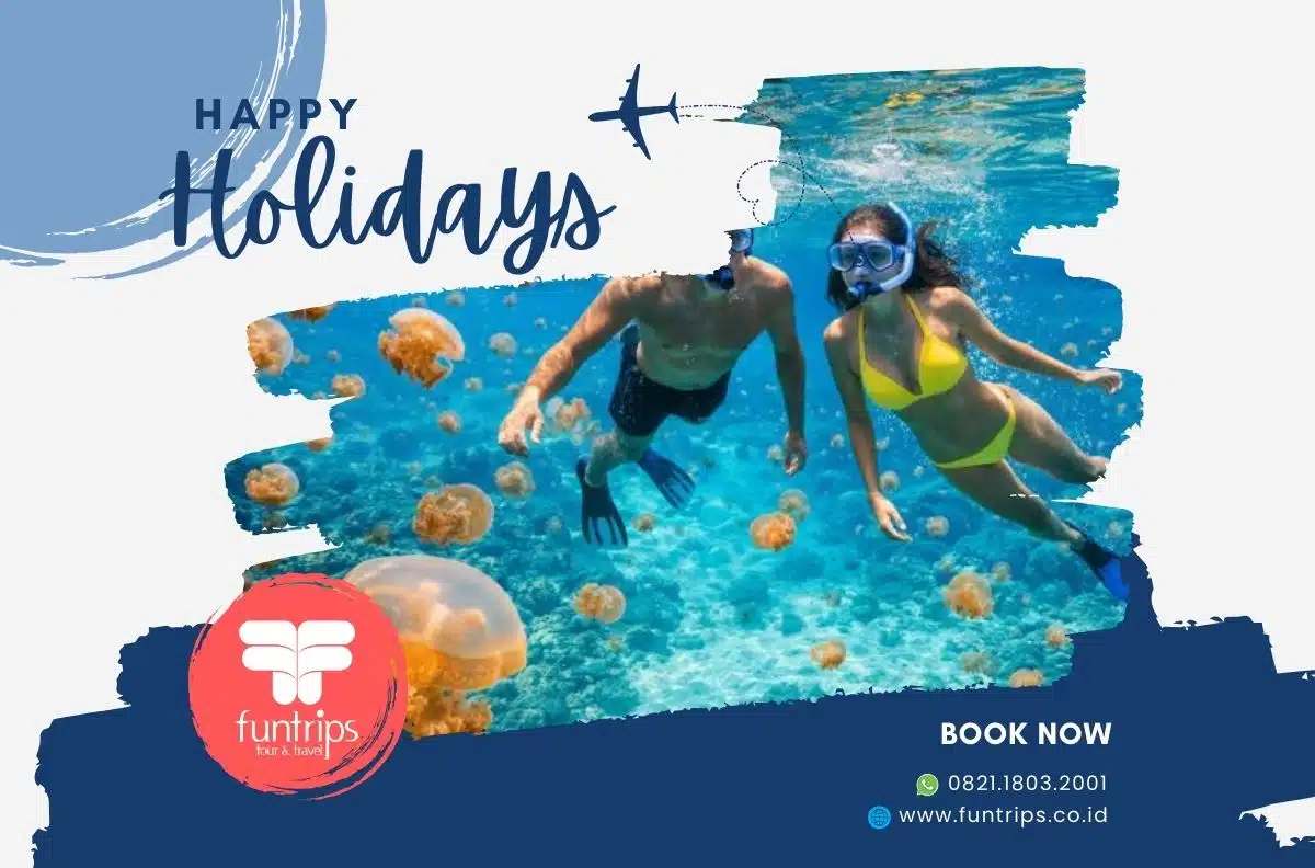 private trip pulau derawan private trip pulau derawan