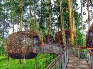 Tempat Glamping Sentul dengan Pemandangan Alam yang Memukau