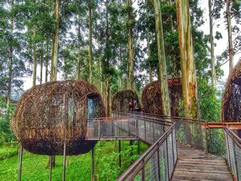 Tempat Glamping Sentul dengan Pemandangan Alam yang Memukau