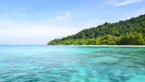 5 Alasan Mengapa Keindahan Bawah Laut Pulau Pahawang Wajib Masuk Bucket List Kamu