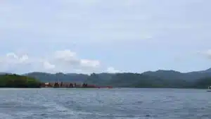 Spot Snorkeling Terbaik Pulau Pahawang: Ini 5 Tempat Paling Seru!