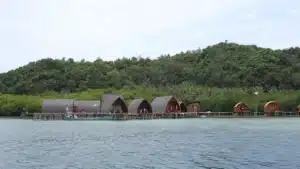 Waktu Terbaik untuk Mengunjungi Pulau Pahawang: Panduan Lengkap Cuaca, Musim Ideal, dan Perkiraan Budget